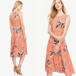 Like New! Ann Taylor Dress
